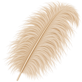 22-24 Inch Ostrich Feathers | 12 Pieces