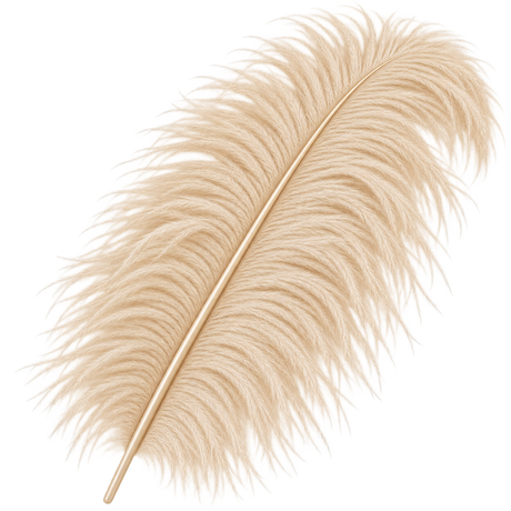 22-24 Inch Ostrich Feathers | 12 Pieces