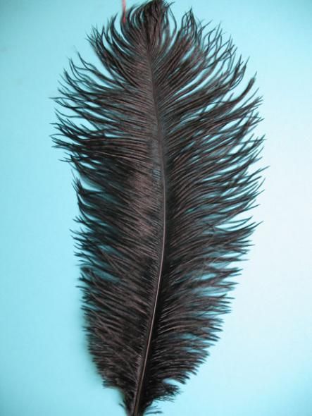 Sky Blue 8-10 Inches Ostrich Feathers 100 Pieces