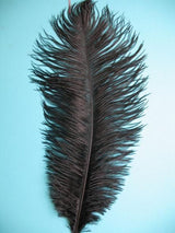 Sky Blue 8-10 Inches Ostrich Feathers 100 Pieces