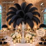 22-24 Inch Ostrich Feathers | 12 Pieces