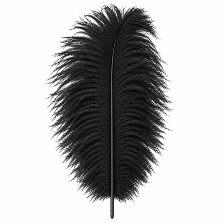 12-14 Inch Ostrich Feathers | 12 Pieces