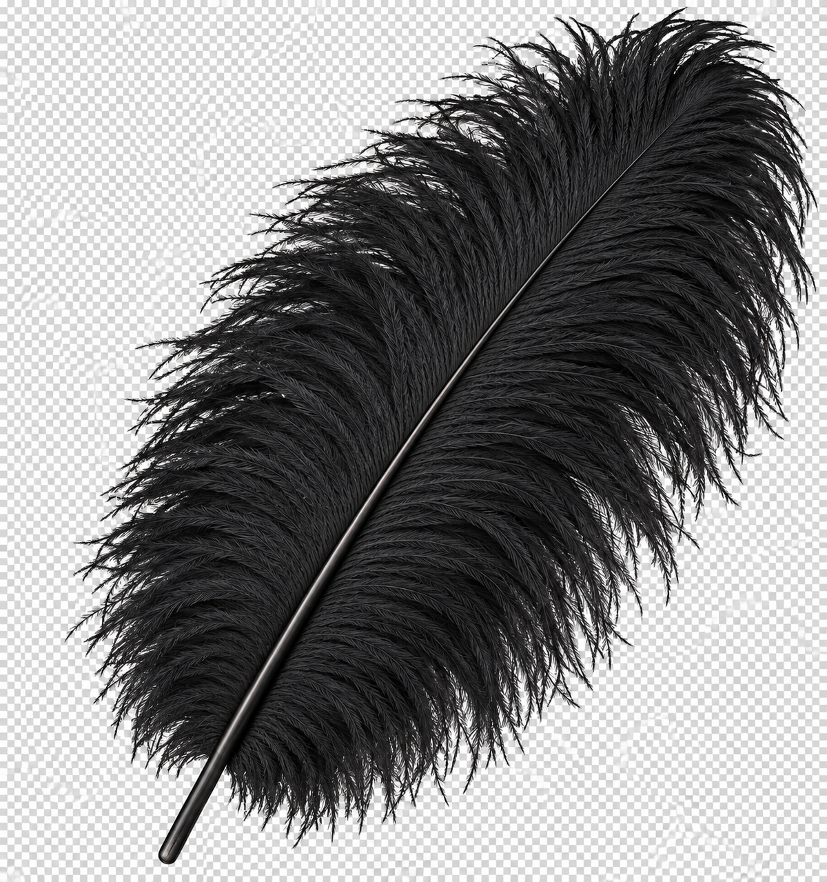 22-24 Inch Ostrich Feathers | 12 Pieces