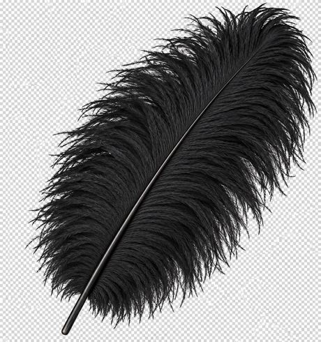 22-24 Inch Ostrich Feathers | 12 Pieces