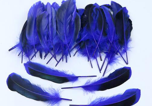 100 Pieces Dyed Duck Coque Feathers for Crafts & Decor FeatherParadise.com