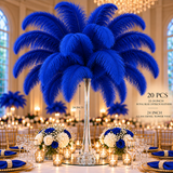 22-24 Inch Ostrich Feathers | 12 Pieces