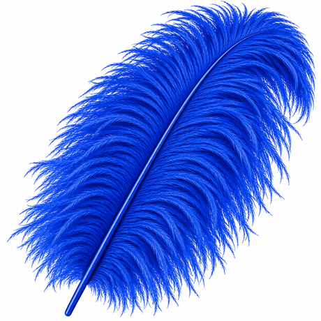22-24 Inch Ostrich Feathers | 12 Pieces