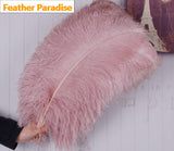 22-24 Inch Ostrich Feathers | 50 Pieces