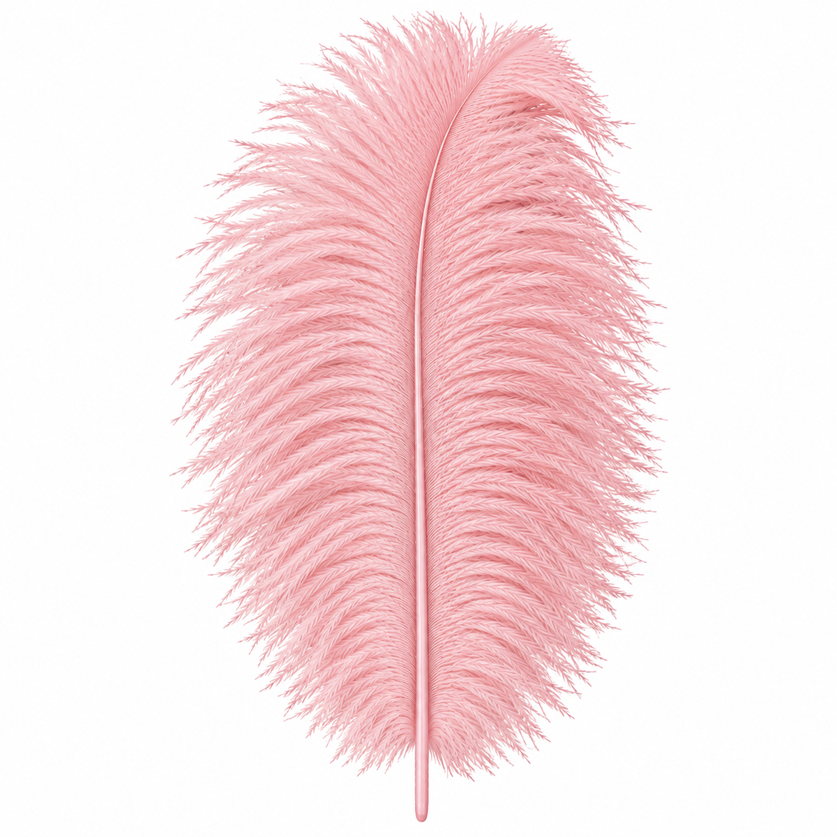 12-14 Inch Ostrich Feathers | 12 Pieces