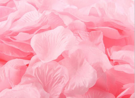 Silk Rose Petals Confetti - 200 Pieces