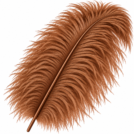 22-24 Inch Ostrich Feathers | 12 Pieces