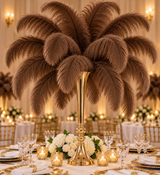 22-24 Inch Ostrich Feathers | 12 Pieces