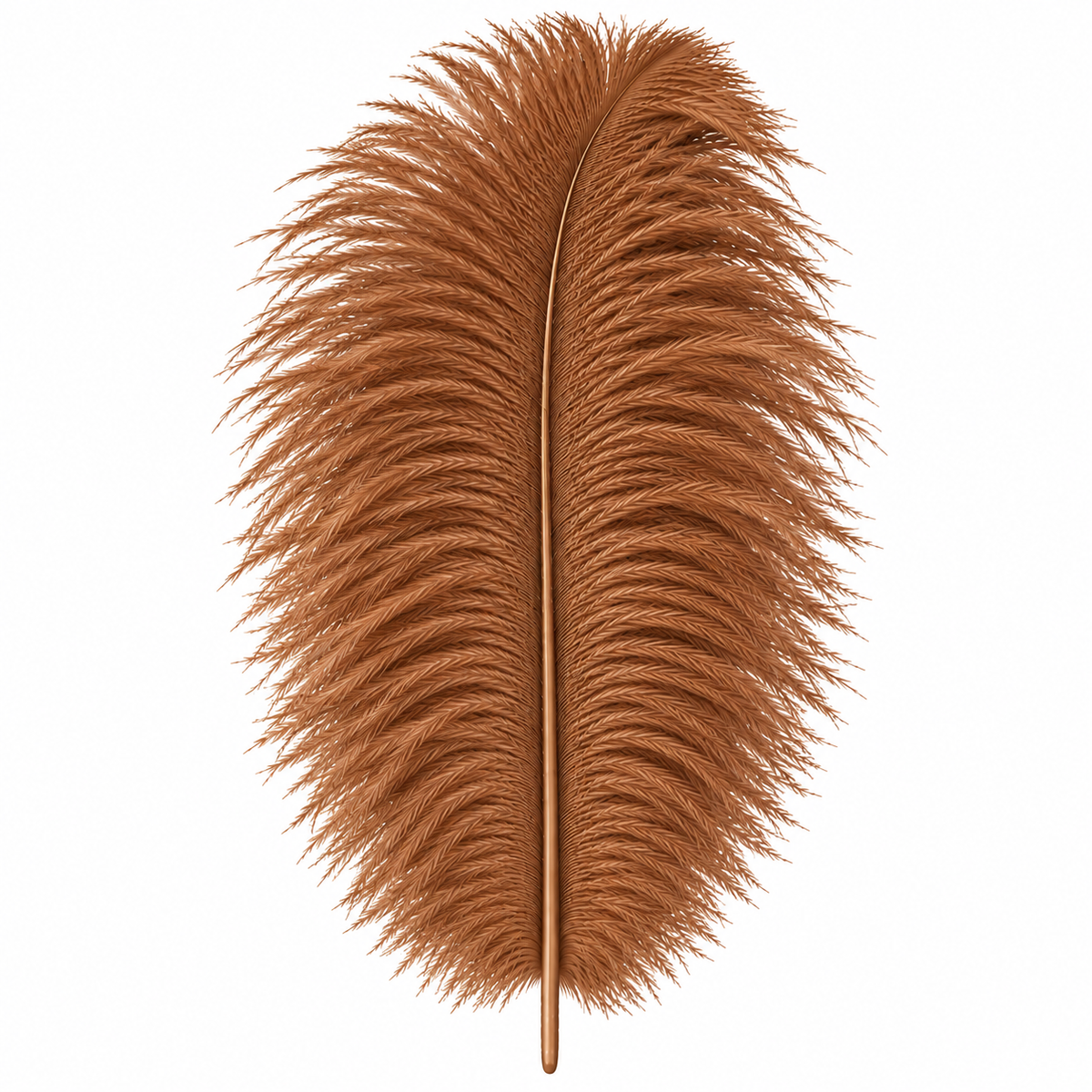 12-14 Inch Ostrich Feathers | 12 Pieces