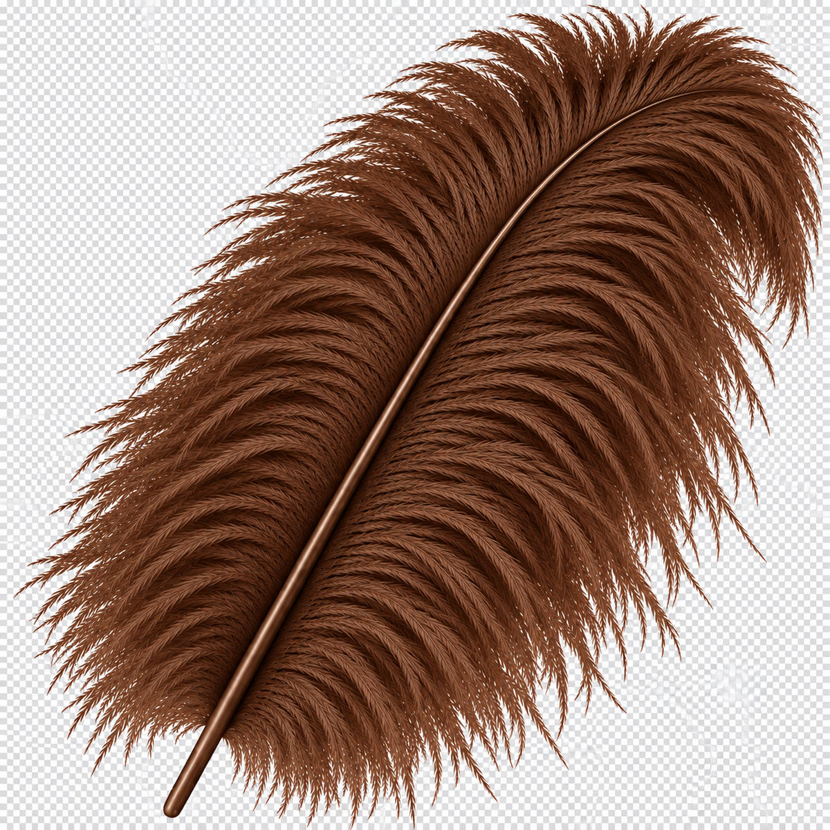 22-24 Inch Ostrich Feathers | 12 Pieces