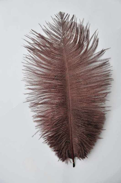 Purple Ostrich Feathers 12-14 Inches