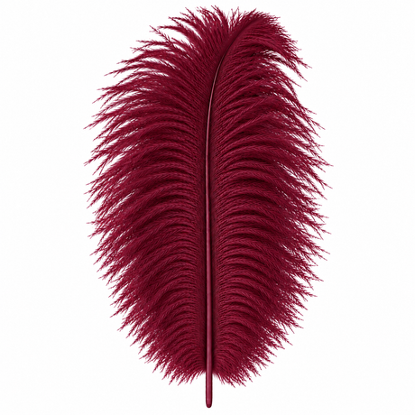 12-14 Inch Ostrich Feathers | 12 Pieces