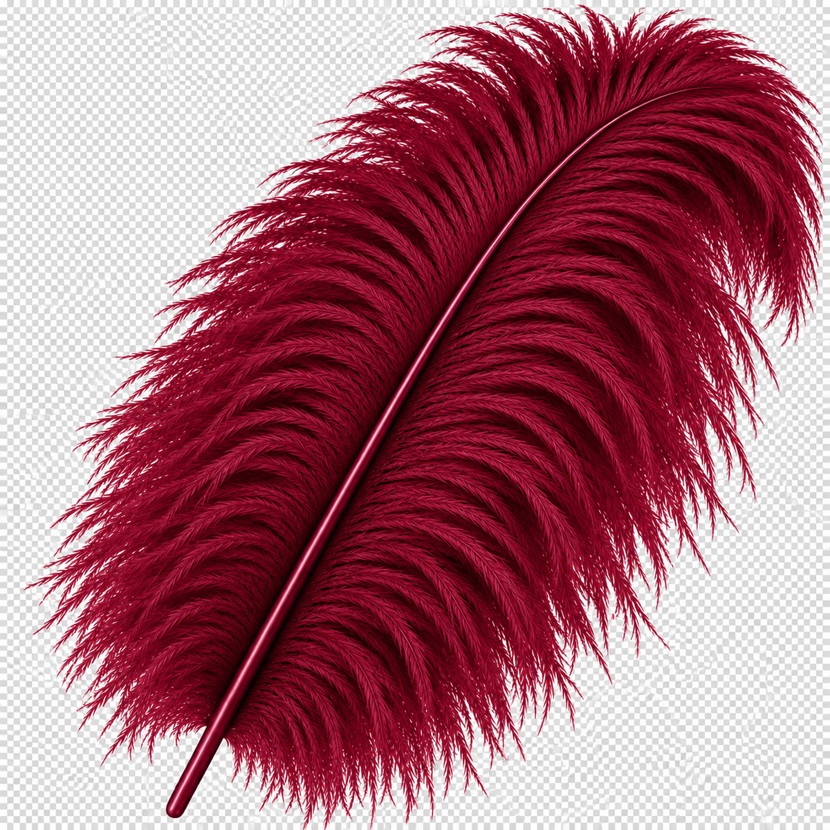 22-24 Inch Ostrich Feathers | 12 Pieces