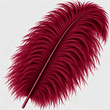 22-24 Inch Ostrich Feathers | 12 Pieces
