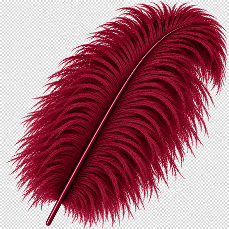22-24 Inch Ostrich Feathers | 12 Pieces