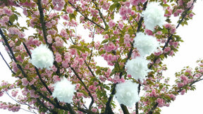 6 Inches Feather Pom Pom Kissing Ball 1 Piece FeatherParadise.com