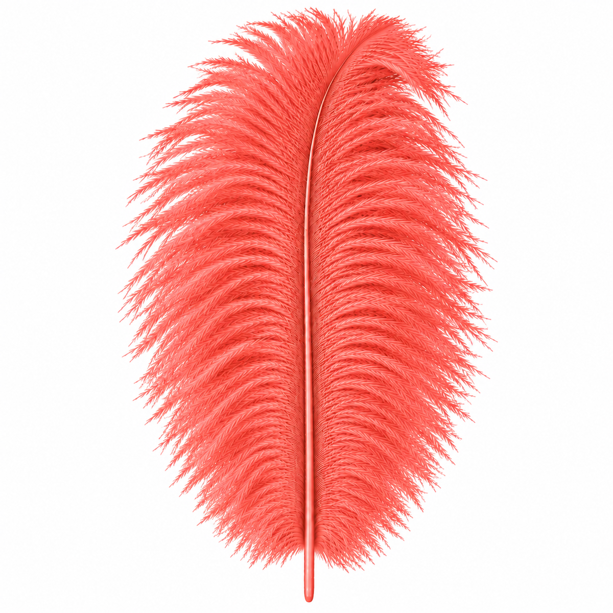 12-14 Inch Ostrich Feathers | 12 Pieces