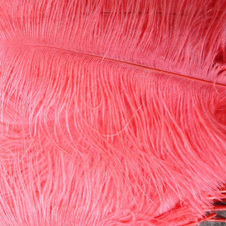 Burgundy Ostrich Feathers 22-24 Inches
