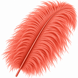 22-24 Inch Ostrich Feathers | 12 Pieces