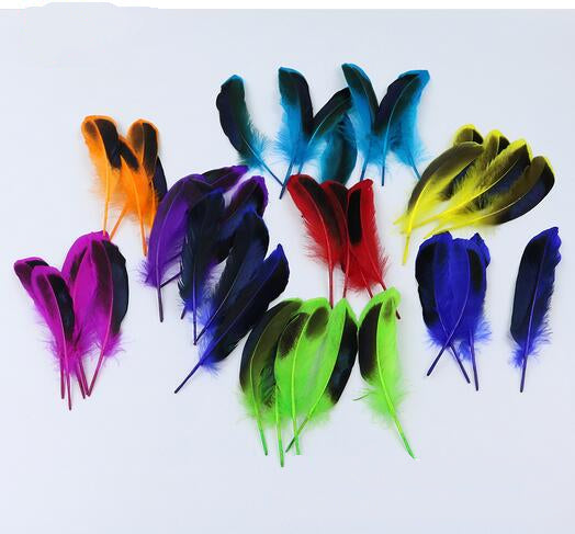 100 Pieces Dyed Duck Coque Feathers for Crafts & Decor FeatherParadise.com