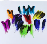100 Pieces Dyed Duck Coque Feathers for Crafts & Decor FeatherParadise.com