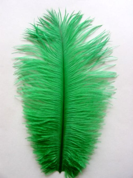 22-24 Inch Ostrich Feathers | 50 Pieces FeatherParadise.com
