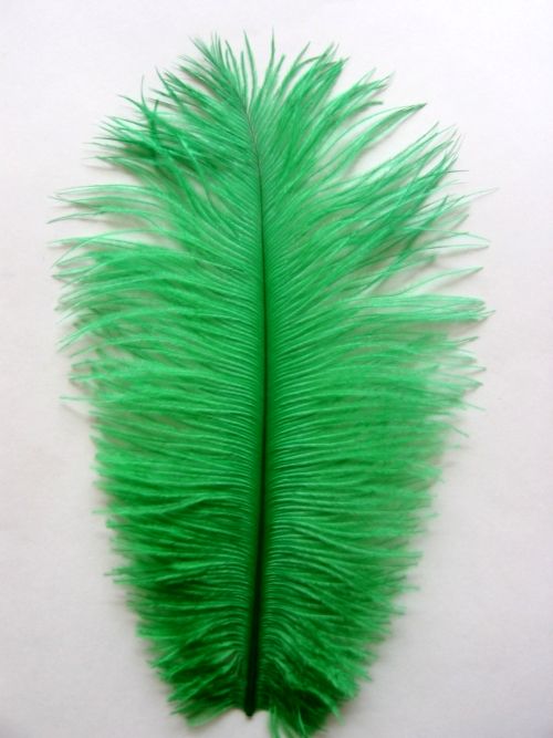 Teal Ostrich Feathers 14-16 Inches