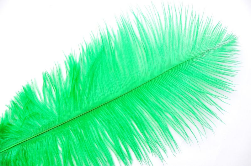 Natural Ostrich Feathers 28-30 Inches