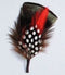 Feather Flowers
