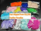 100 Pieces Goose Feather Petals Confetti FeatherParadise.com
