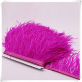 10 Yard 4-6 Inches Ostrich Feather Fringe