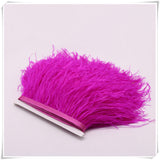 10 Yard 4-6 Inches Ostrich Feather Fringe