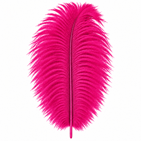 12-14 Inch Ostrich Feathers | 12 Pieces
