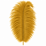 12-14 Inch Ostrich Feathers | 12 Pieces
