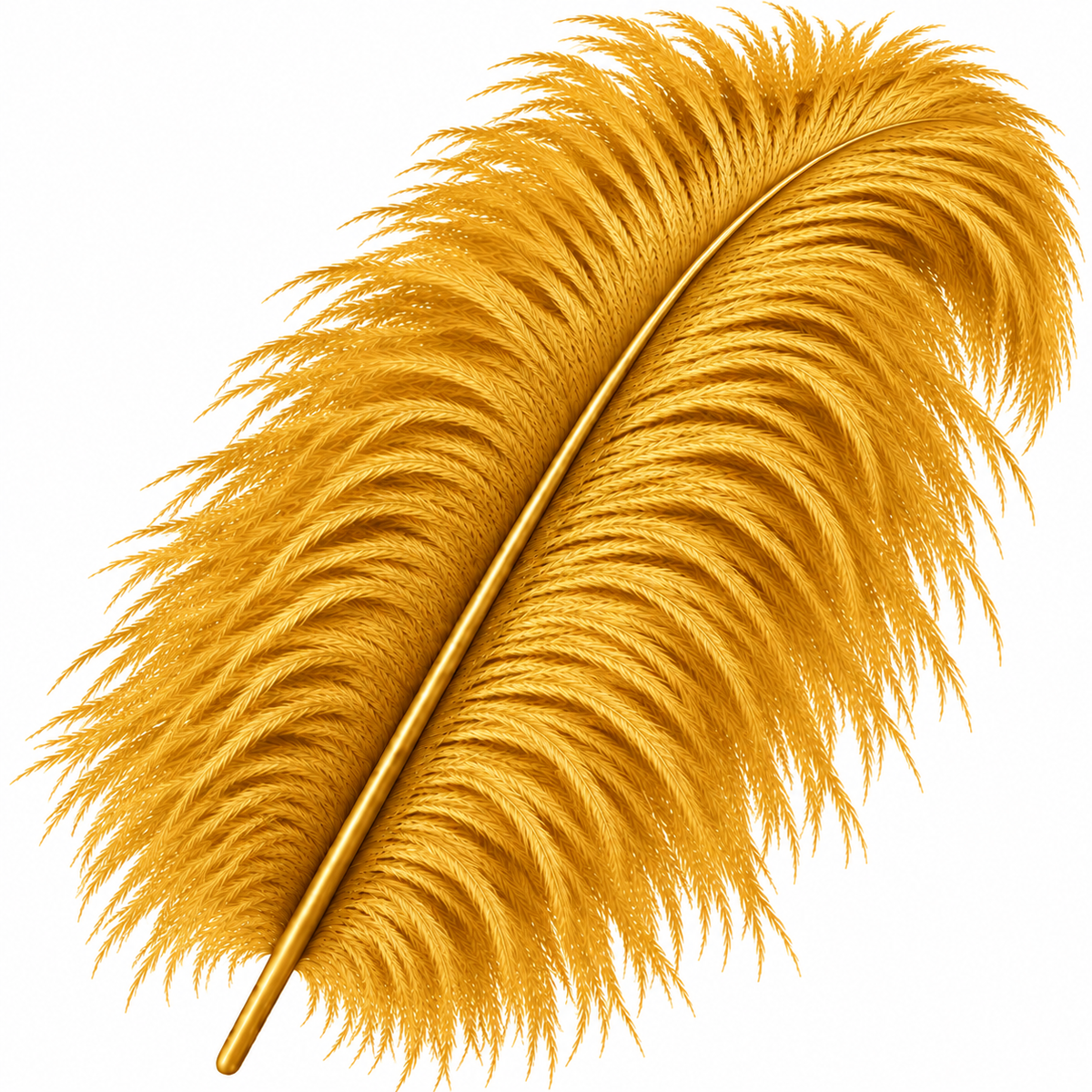 22-24 Inch Ostrich Feathers | 12 Pieces