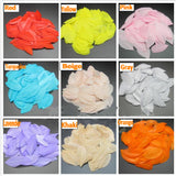 100 Pieces Goose Feather Petals Confetti FeatherParadise.com