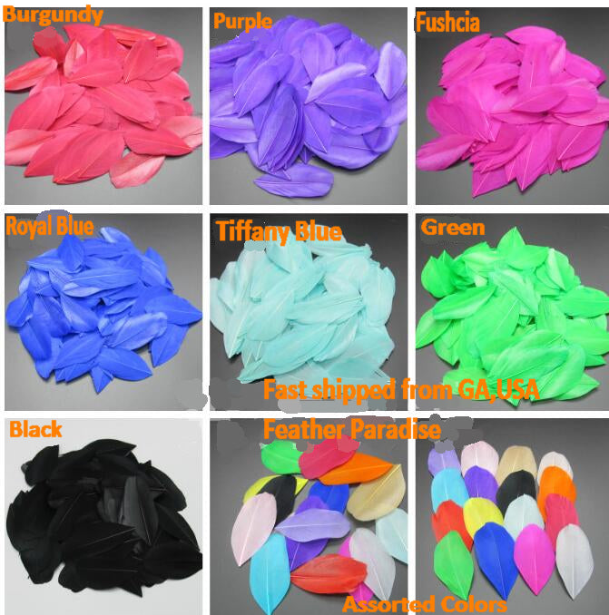 100 Pieces Goose Feather Petals Confetti FeatherParadise.com