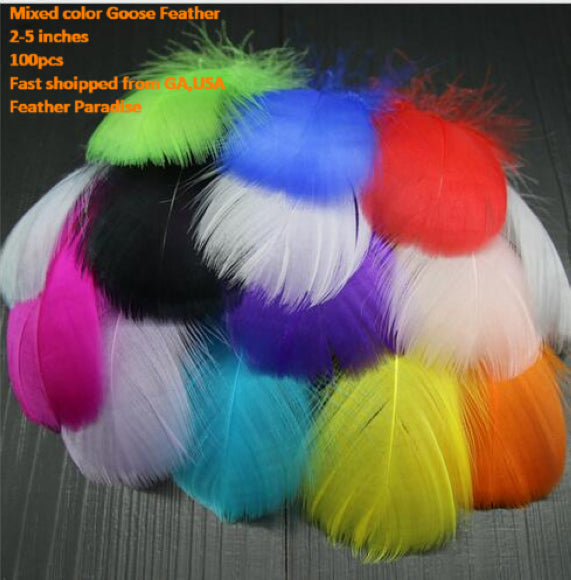 Buy 100pcs Goose Nagorie Loose Feather Fillers – 3.3–6" Feather Confetti for Crafts, DIY Projects, Fly Tying & Decorations FeatherParadise.com
