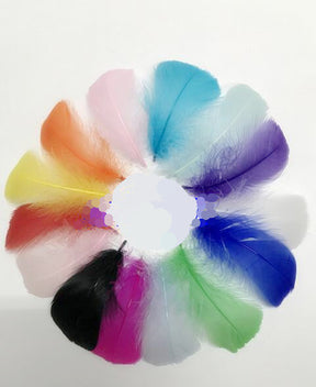Buy 100pcs Goose Nagorie Loose Feather Fillers – 3.3–6" Feather Confetti for Crafts, DIY Projects, Fly Tying & Decorations FeatherParadise.com
