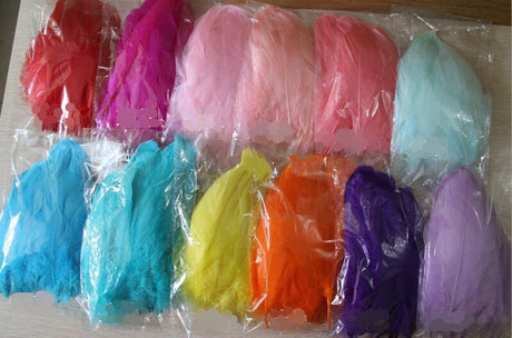 20 Pieces Goose Pallet Feathers FeatherParadise.com