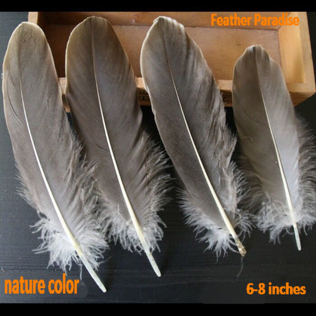 20 Pieces Goose Pallet Feathers FeatherParadise.com