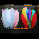 20 Pieces Goose Pallet Feathers FeatherParadise.com