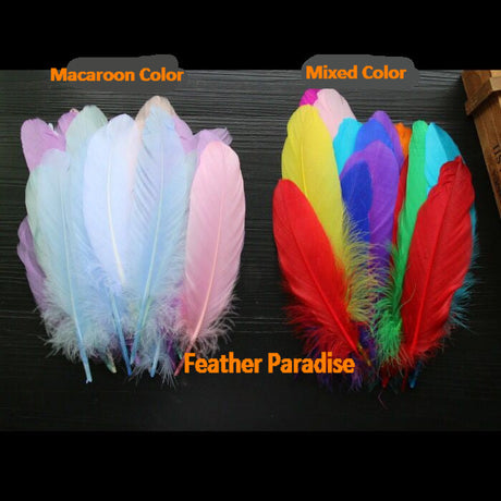 20 Pieces Goose Pallet Feathers FeatherParadise.com