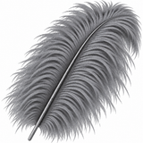 22-24 Inch Ostrich Feathers | 12 Pieces