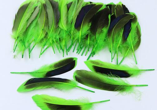 100 Pieces Dyed Duck Coque Feathers for Crafts & Decor FeatherParadise.com