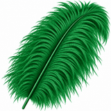 22-24 Inch Ostrich Feathers | 12 Pieces